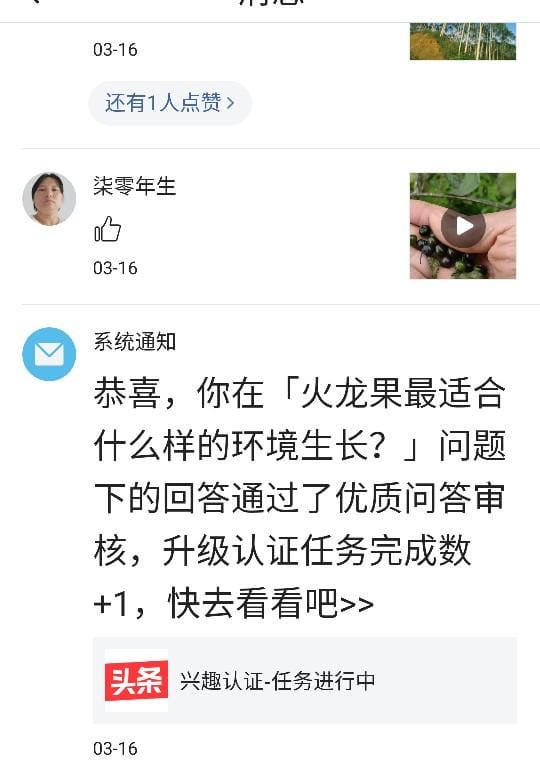 百度知道优质回答_怎么才算申请领域的优质回答_优质回答的经验