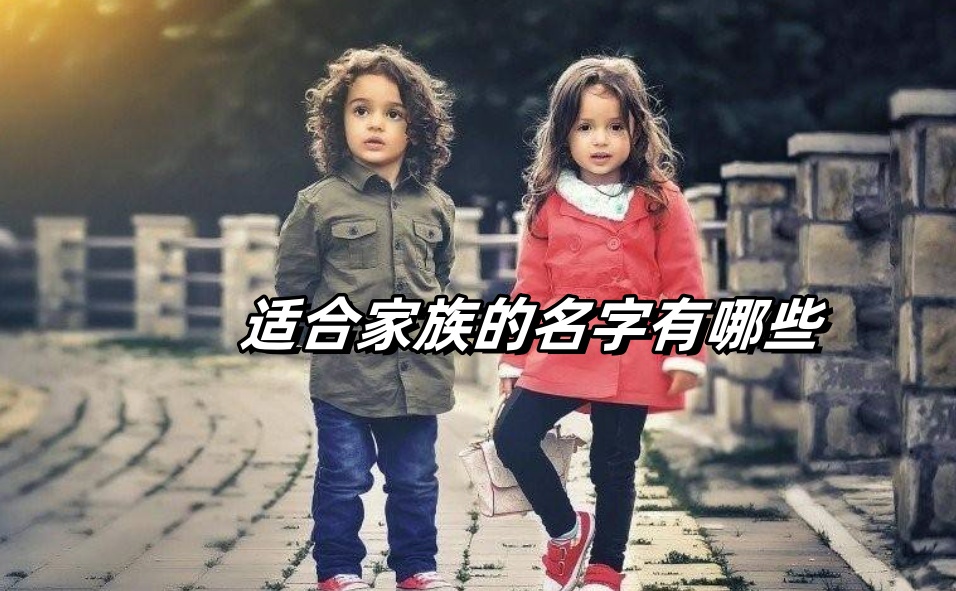 适合家族名字的有哪些,好听的家族名字大全